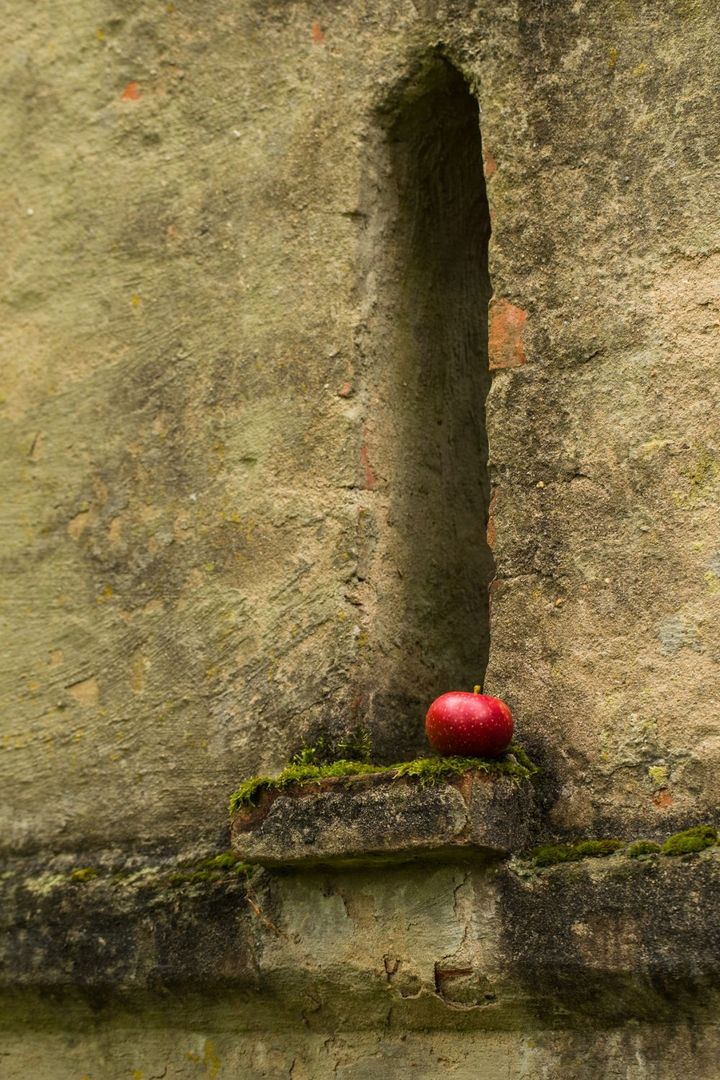 Apfel auf Sims. Foto: Matthias Kirsch