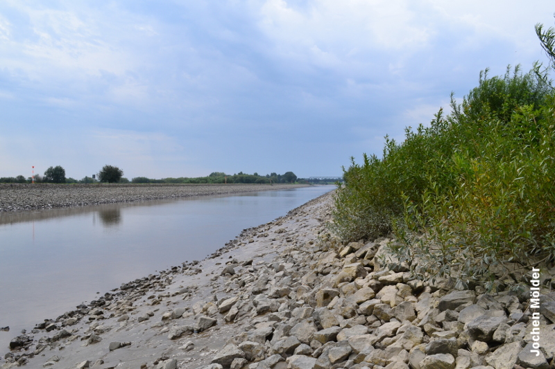Versteint, verarmt, trostlos: Von einem lebendigen Fluss ist die Ems noch weit entfernt. Foto: Jochen Mölder