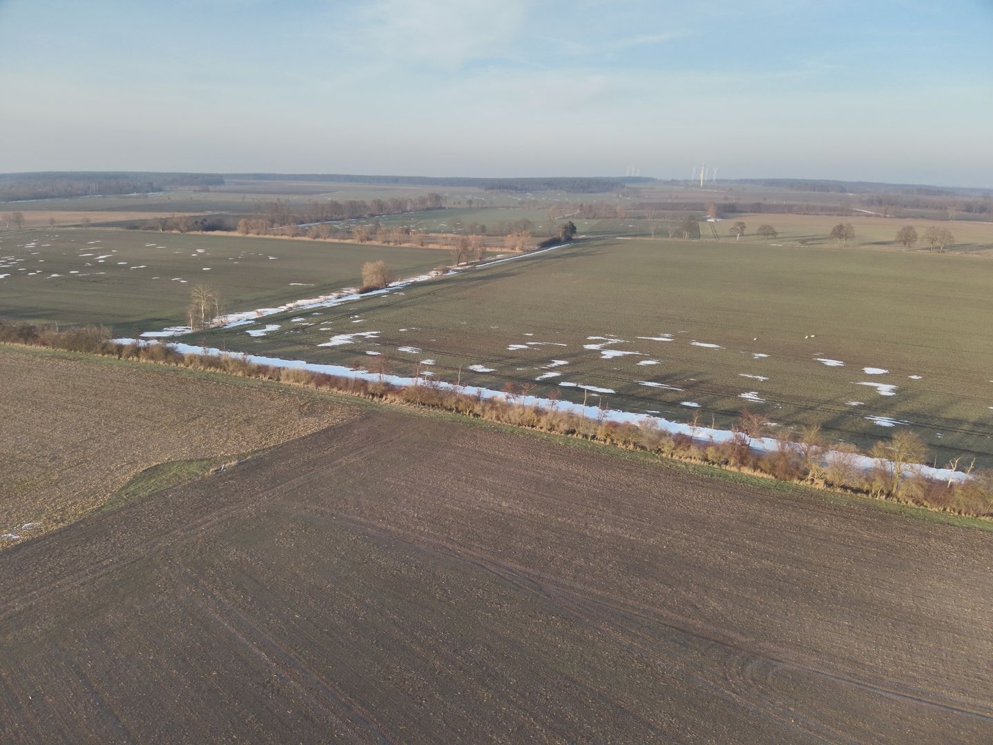 Landschaftseindrücke Lüchower Landgrabenniederung. Foto: Bastian Gülstorf