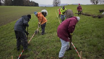 Freiwillige pflanzen eine Korridor für Wildkatzen, Foto: BUND