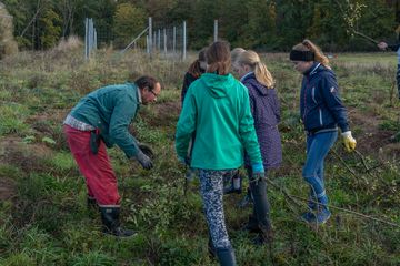 Die Schicht aus dornigen Schlehen schützt die Pflanzungen vor Wildverbiss. Foto: Jen Guyton