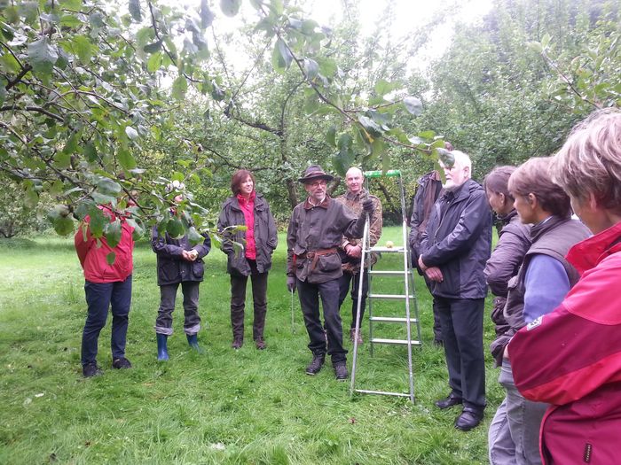 Obstbaumschnittkurs in Mariensee. Foto: Katja Helbig