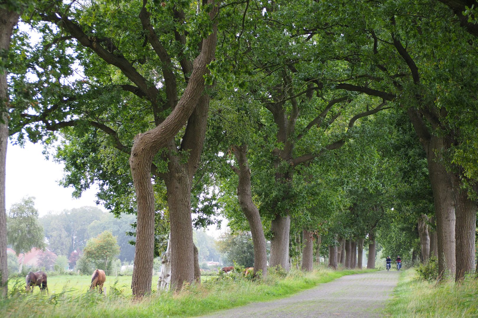 Platz 3: Leben in Alleen in Varel/Niedersachsen (Heidrun Heinze)