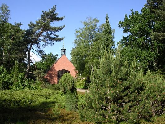 Ein dichter Baumbestand prägt heute den Waldfriedhof Lüneburg. Früher war er als Heidefriedhof gestaltet. Foto: Hansestadt Lüneburg