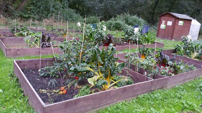 Traumgarten. Foto: BUND