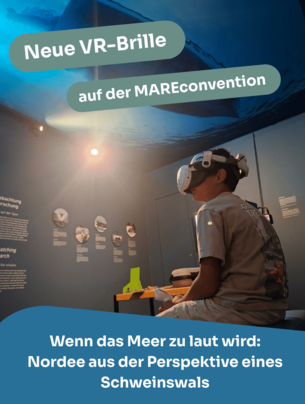 VR-Brille Schweinswal