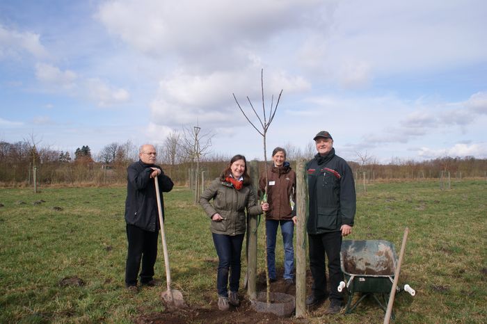 Pflanzaktion. Von links nach rechts: Prof. Dr. Helmut Scharpf (Stellvertretender Vostandsvorsitzender BUND Landesverband Niedersachsen), Sabine Washof (Projektleitung, BUND Landesverband Niedersachsen), Eva Meyerhoff (Naturschutzberatung, Kompetenzzentrum Ökolandbau Niedersachsen KÖN) und Knut Sierk (Teamleiter, Forstamt Sellhorn / Waldpädagogikzentrum Lüneburger Heide WPZ). Foto: BUND
