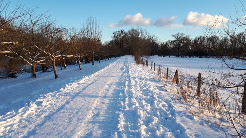 Winter an der Leine in Hannover. Foto: Ruth Paschka