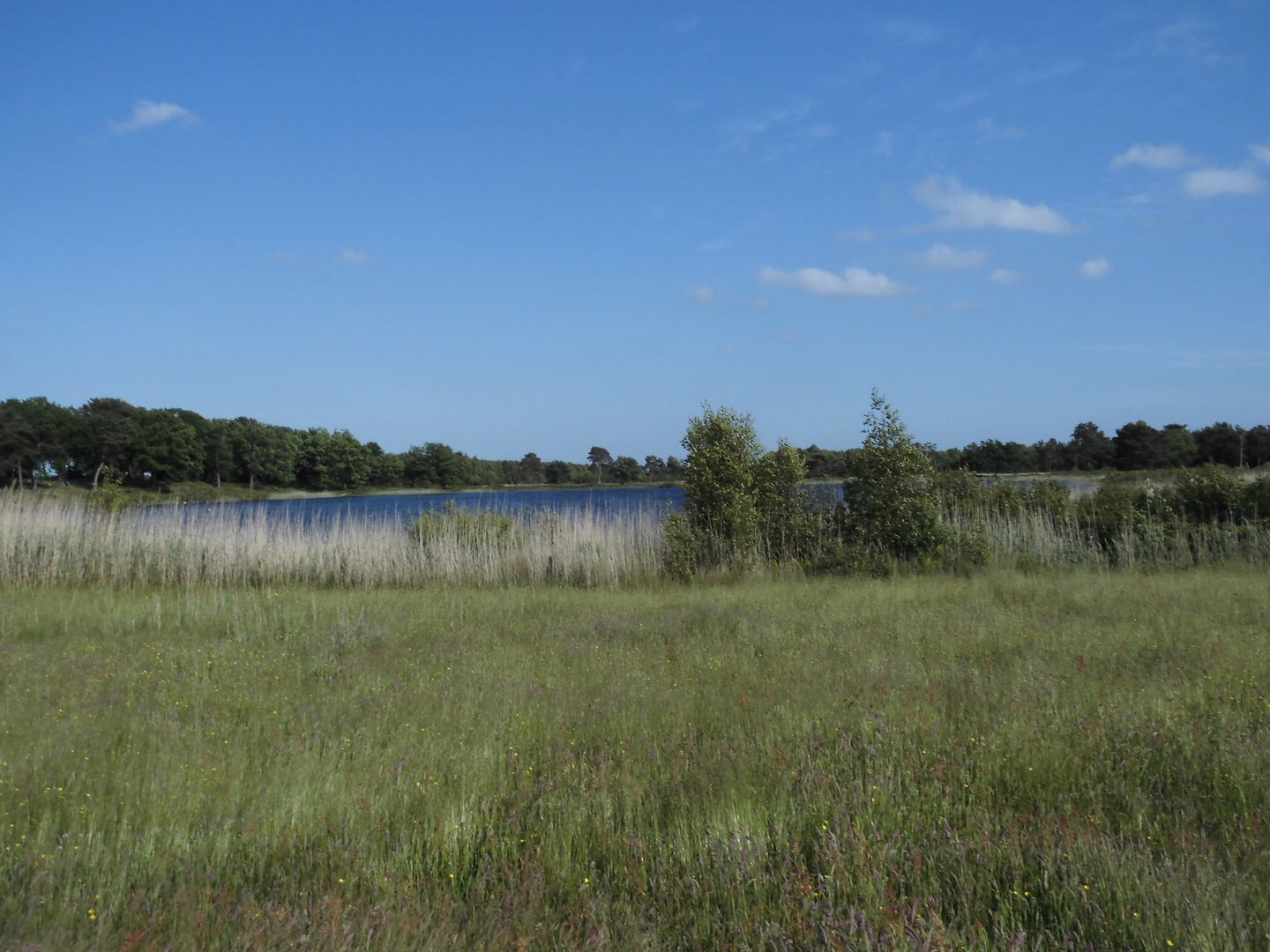 Wollingster See. Foto: Eike Rachor