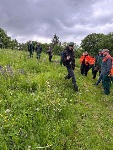 Experte Jakob-Grabow Klucken (BUND Niedersachsen) und die Bauhof-Mitarbeitenden besuchen eine 2025 angelegte Wildblumenwiese auf dem Friedhof in Salzgitter-Lebenstedt.