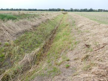 Ausgetrockneter Graben in der Lüchower Landgrabenniederung im August. Foto: Petra Bernardy