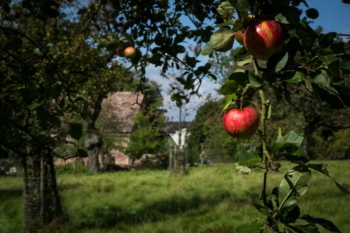 Kloster Amelungsborn. Foto: Alexander Klietz