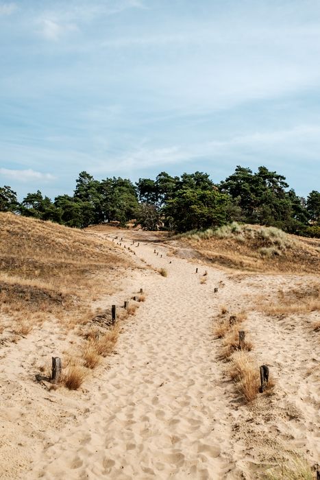 Binnendüne Klein Schölen, Heye jensen