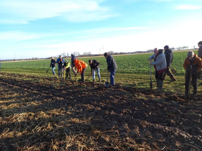 Ehrenamtliche pflanzen 1200 Sträucher in Nordstemmen | Foto: BUND/Klucken