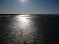 Wattenmeer. Foto: BUND Niedersachsen / Ruth Paschka