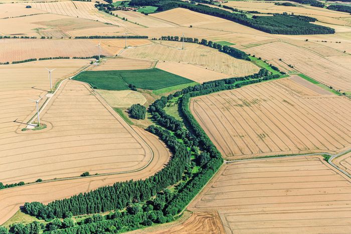 Das Grüne Band in Thüringen-Niedersachsen bei Freiendorf - Das Grüne Band durchläuft auf seinen 1393 Kilometern neun Bundesländer. Foto: Klaus Leidorf