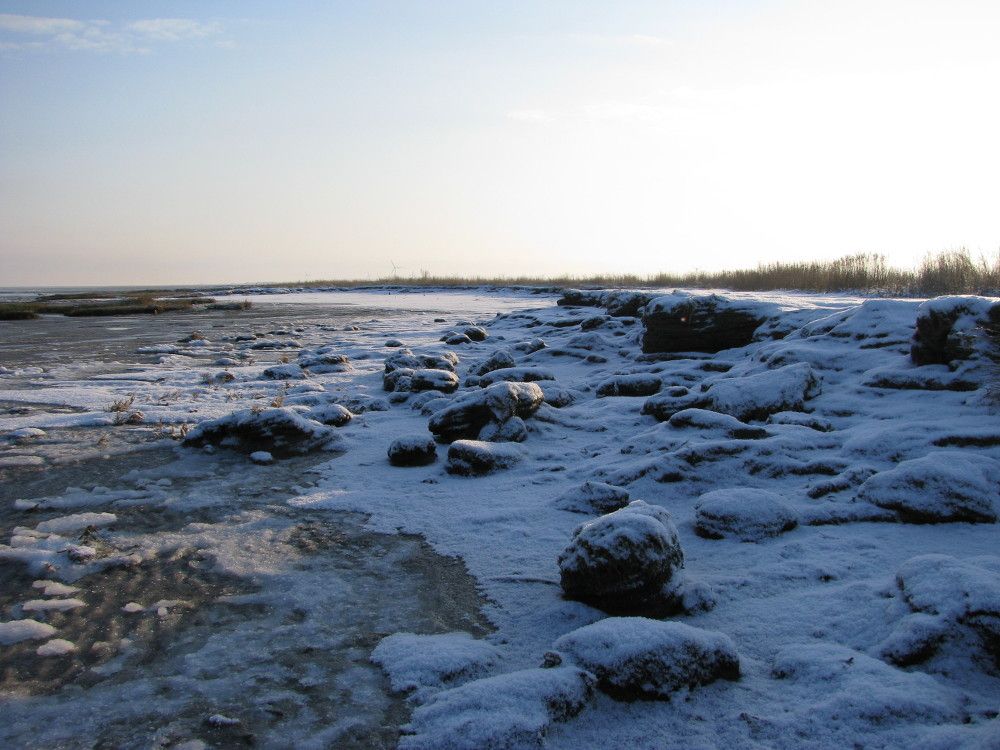 Vereistes Wattenmeer. Foto: Nationalpark-Haus Dornumersiel