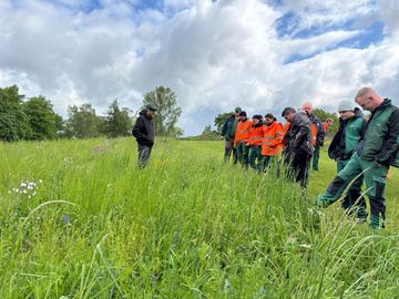 Experte Jakob-Grabow Klucken (BUND Niedersachsen) und die Bauhof-Mitarbeitenden besuchen eine 2025 angelegte Wildblumenwiese auf dem Friedhof in Salzgitter-Lebenstedt.