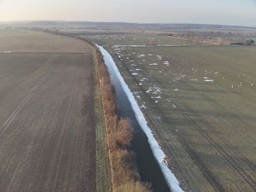 Landschaftseindrücke Lüchower Landgrabenniederung. Foto: Bastian Gülstorf