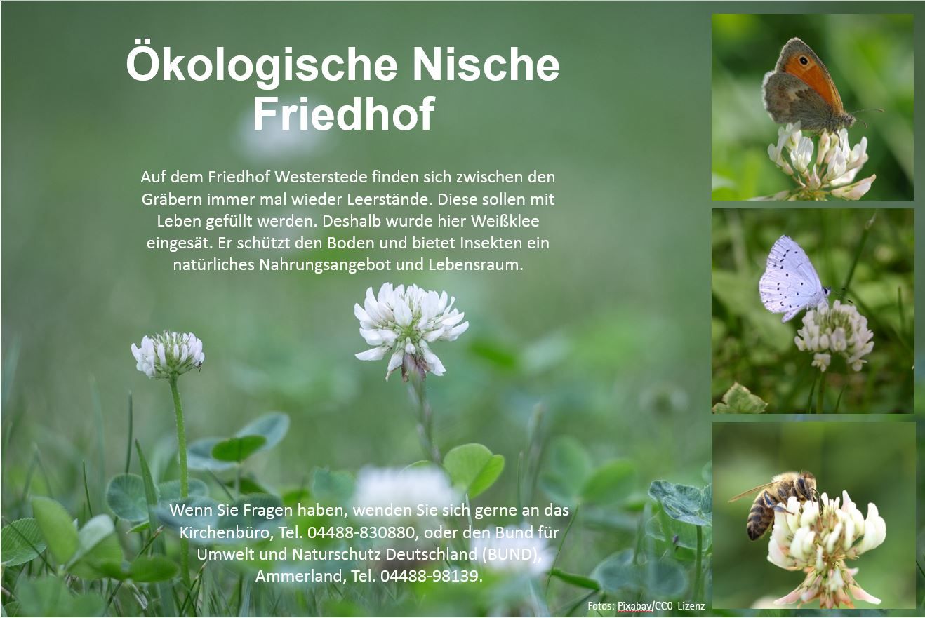 Egal ob kleine oder große Flächen. Auf jedem Friedhof gibt es Potentiale die Biodiversität zu erhöhen.  Foto: Susanne Grube / BUND Ammerland