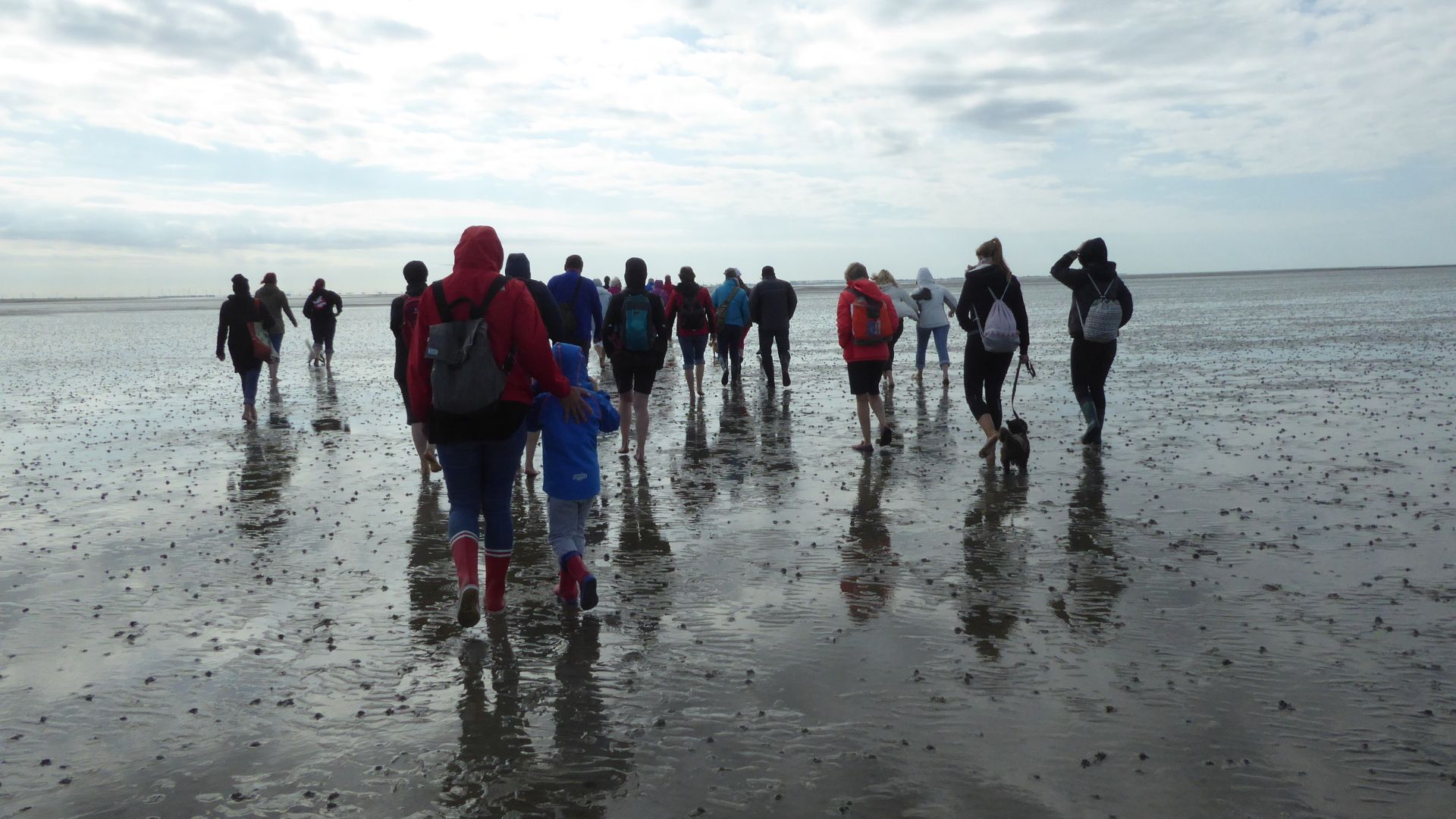 Wattwanderung vor Büsum. Foto: Ruth Paschka