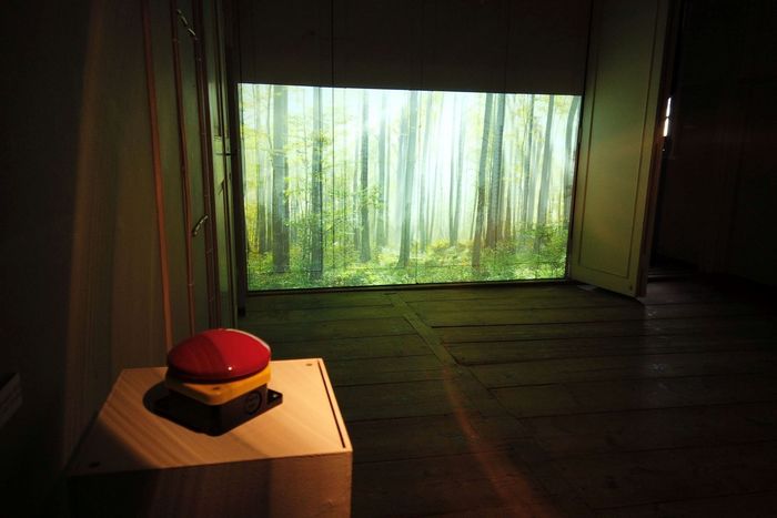 Die Videoinstallation „I have a dream“ von Andreas-Kunstpreisträgerin 2020 Julia Lormis ist bis zum 28. November im Nationalpark-Besucherzentrum TorfHaus zu sehen.  Foto Mandy Gebara, Nationalpark Harz 