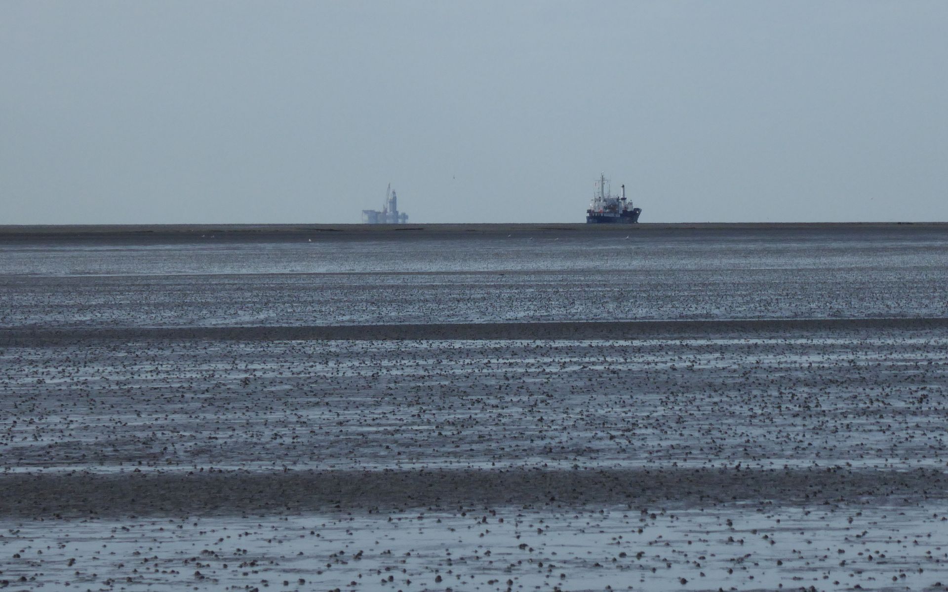 Ölplattform und Containerschiff. Potentielle Gefahren für das Ökosystem. Foto: BUND Nds.