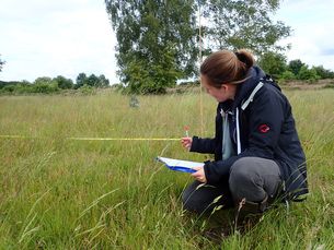 Julia Labers vom BUND erstellt die Artenliste für eine Grünlandfläche im Hohen Moor (BUND DHM)