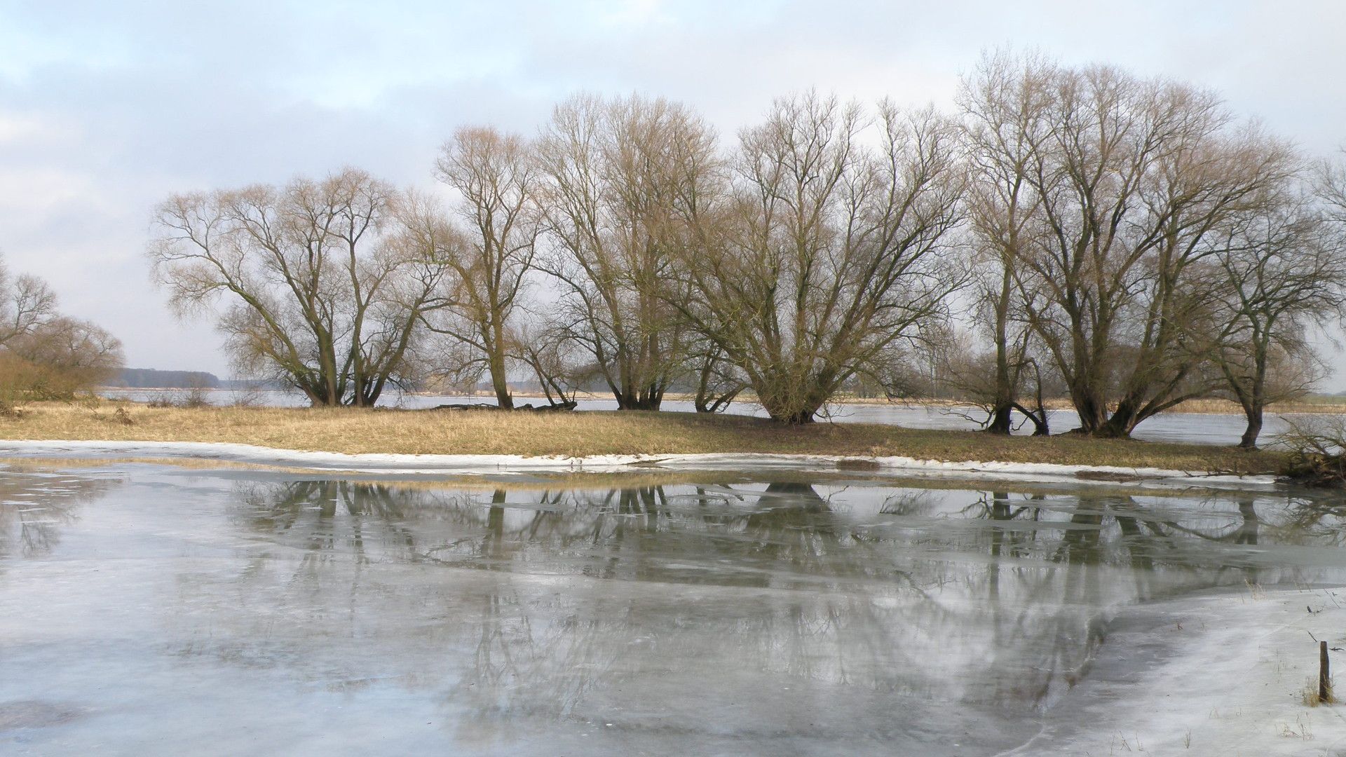 Hohe Garbe im Winter. Foto: Birgit Felinks / Trägerverbund Burg Lenzen