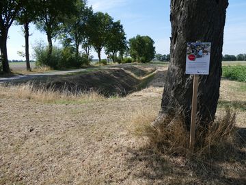 Erfüllung der Dokumentationspflicht zur Aufstellung des Projekt-Schildes gegenüber der NBank. Standort nordwestlich Predöhl an einer Sitzgruppe. Foto: Petra Bernardy