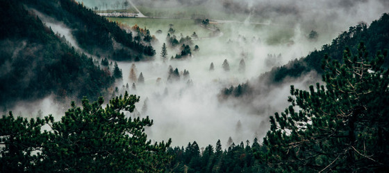 Landschaft bedeckt mit Nebel. Foto: Ales Krivec / unsplash.com
