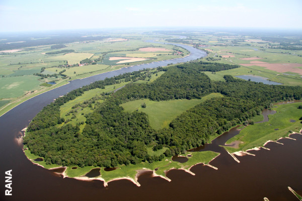 Im Bann des Grünen Bandes: Aus der Luft gesehen ist die Elbe besonders beeindruckend. Foto: RANA