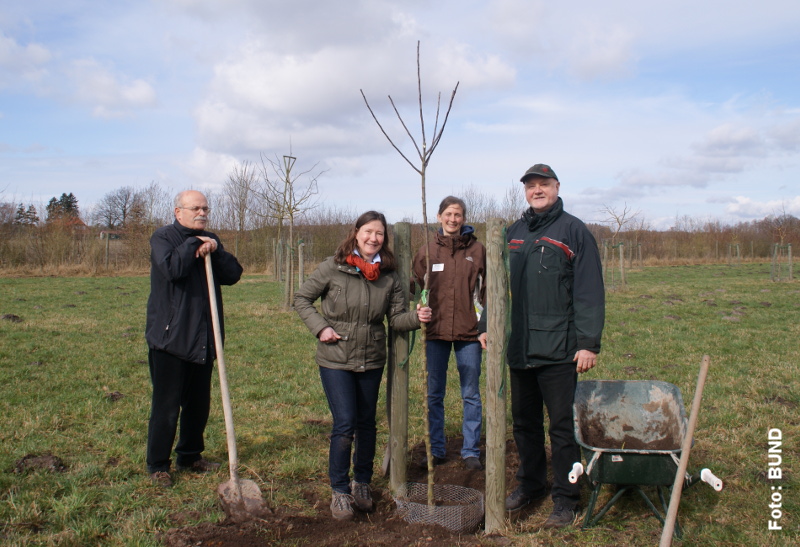 Mit einer symbolischen Pflanzaktion hat der BUND Niedersachsen im März das Streuobstwiesen-Projekt zusammen mit seinen Projektpartnern gestartet. Der Apfelbaum blüht jetzt auf der Streuobstwiese Baars nahe Walsrode. Foto: BUND