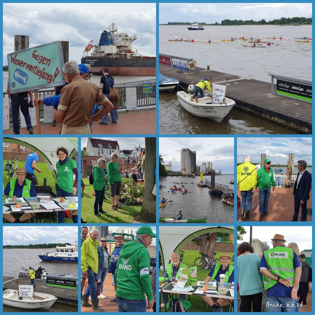 Collage mit Bildern unterschiedlicher Aktivitäten während des Wesercamps. Foto: BUND Wesermarsch