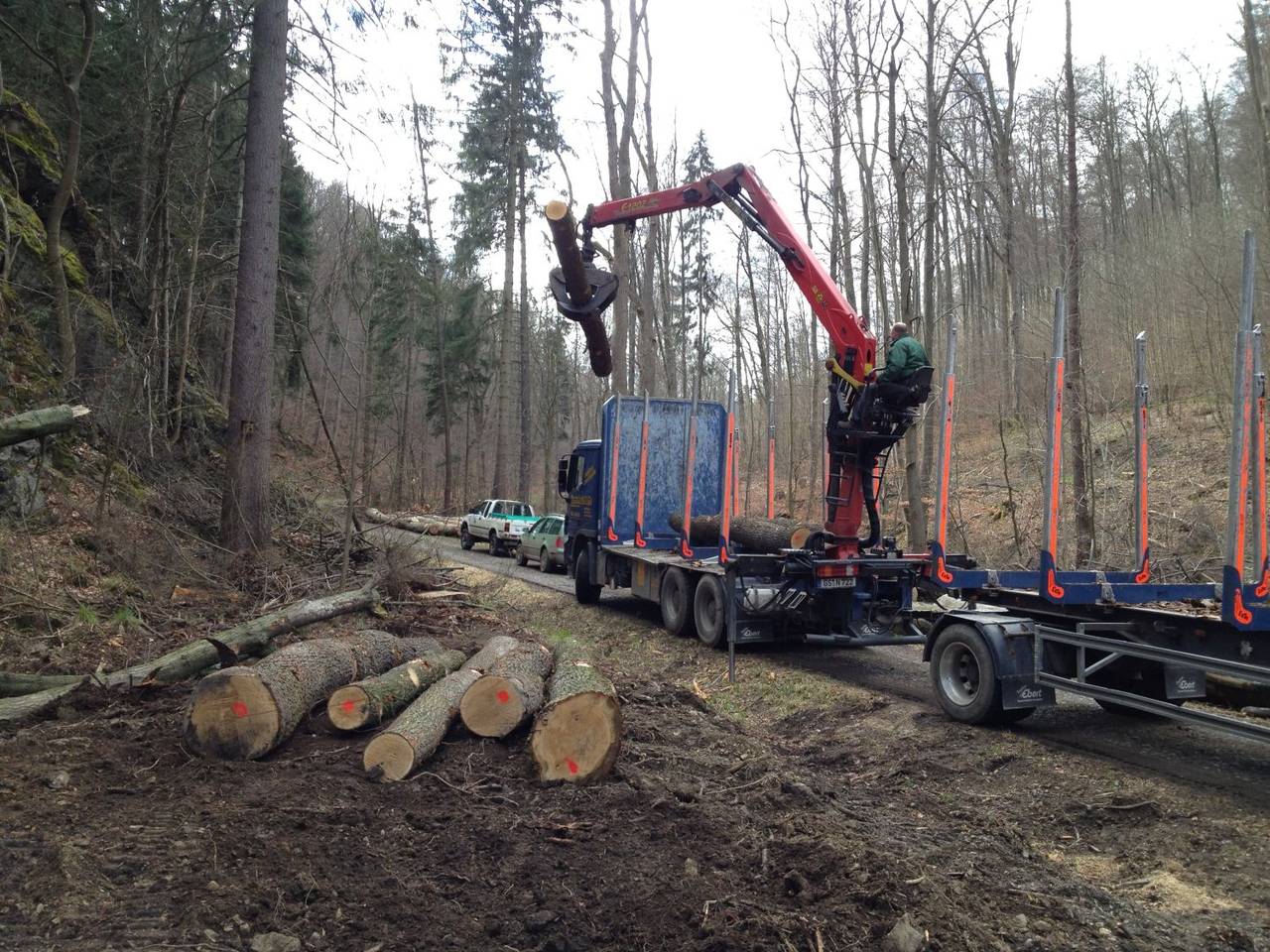 Am Schleichpfad: die Landesforsten bringen das Holz für die Hüpfbulte. Foto: BUND