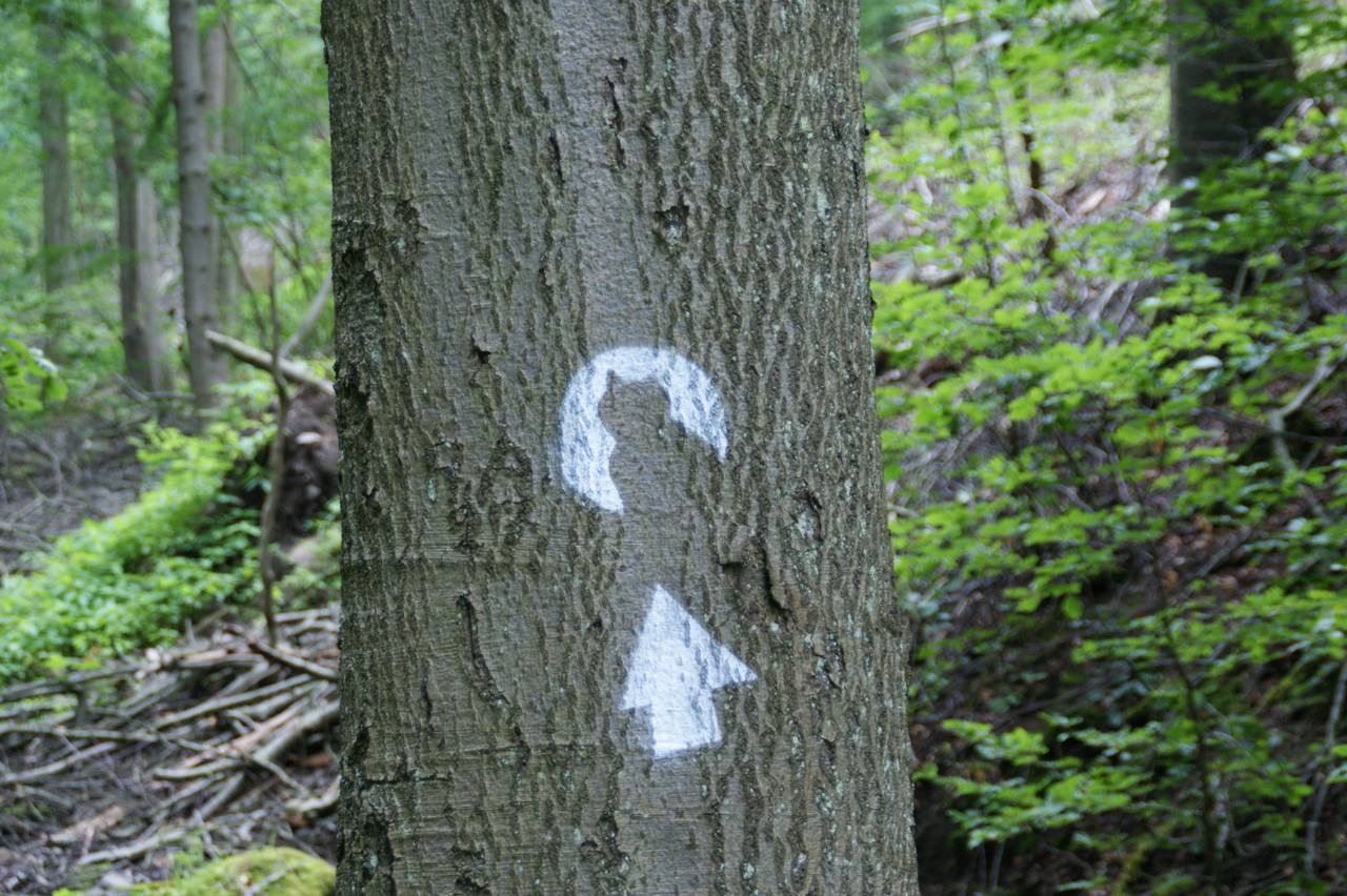 Wildkatzen-Signet am Baum. Foto: BUND